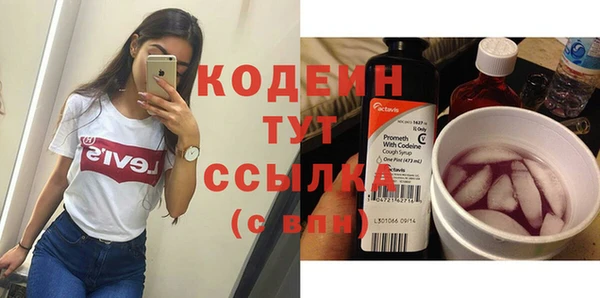 прущие грибы Инта