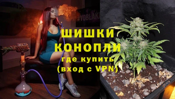 прущие грибы Инта