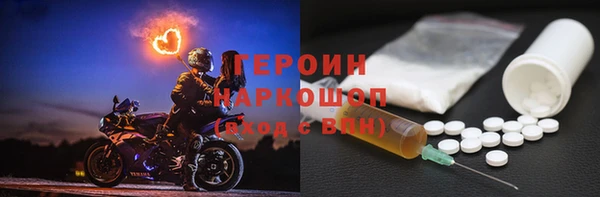 прущие грибы Инта