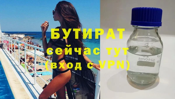 прущие грибы Инта