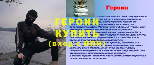 прущие грибы Инта