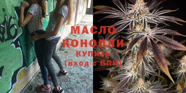 прущие грибы Инта