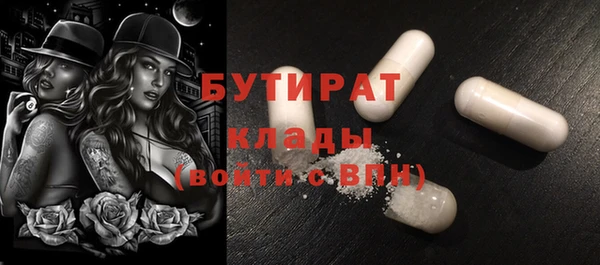прущие грибы Инта
