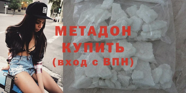 прущие грибы Инта